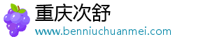 重庆次舒
