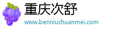 重庆次舒
